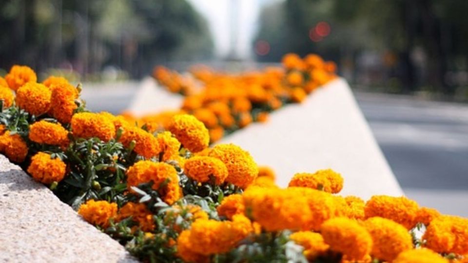 Día de Muertos es sagrado en México.