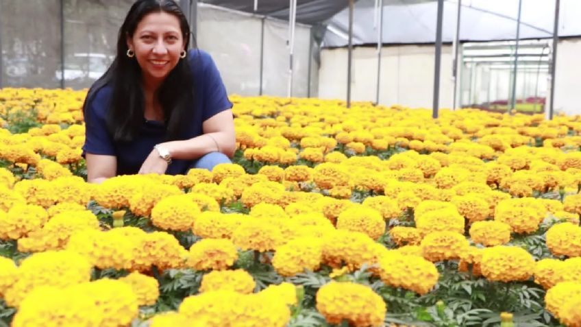 La Venustiano Carranza produjo más de 25 mil flores de cempasúchil