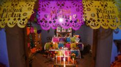 Día de Muertos: ¿cuándo se pone la ofrenda para los perritos?