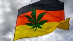 Alemania quiere legalizar la marihuana para combatir al crimen organizado