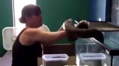 VIDEO: una cuidadora de animales es salvajemente atacada por una serpiente