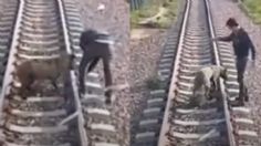 VIDEO | El heroico momento en que un maquinista salva a un perrito de ser arrollado por un tren