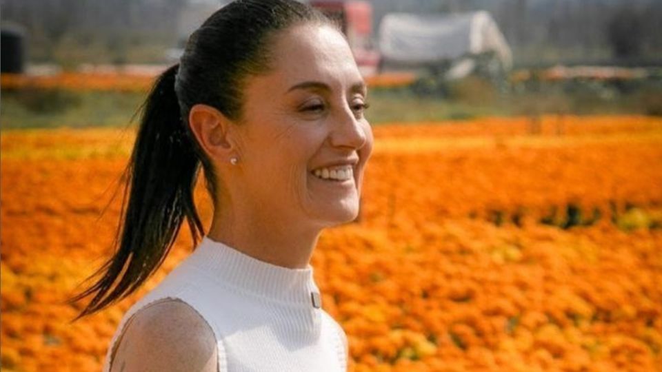 Claudia Sheinbaum en los campos de cempasúchil de Xochimilco