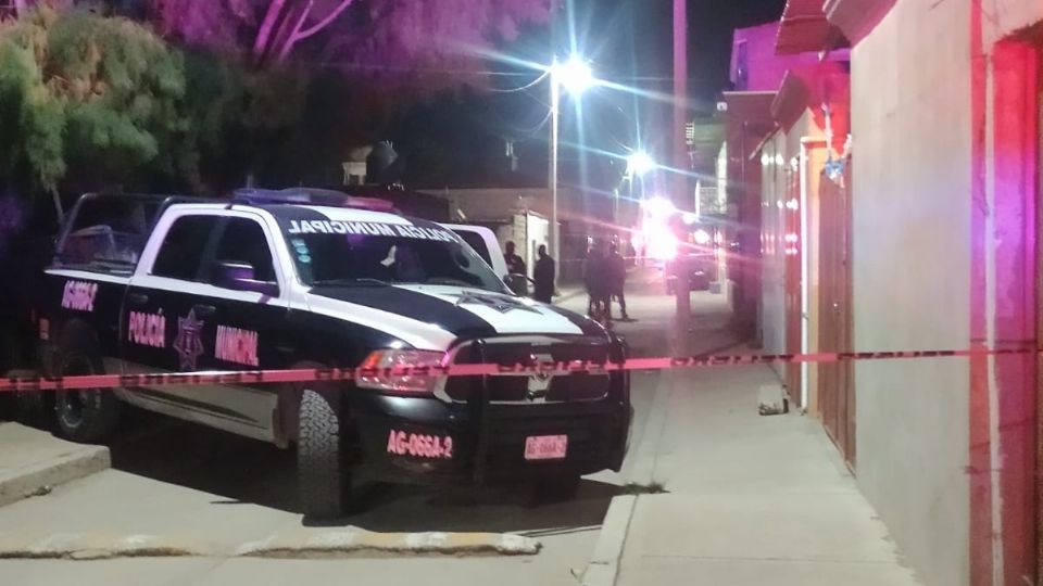 Fue este miércoles, en una finca de la calle Puente de Calderón, de la comunidad San Antonio, en el municipio de Tepezalá.