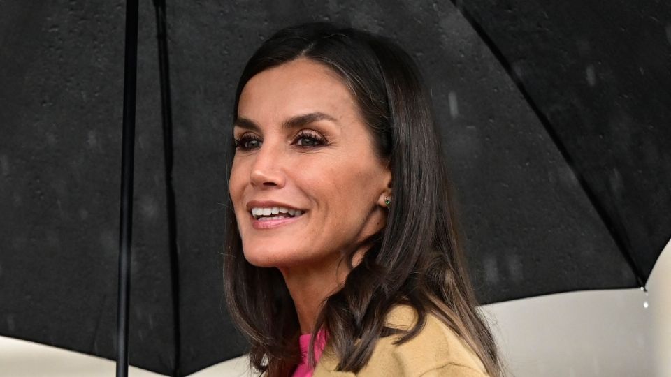 El vestido de la reina Letizia que ha causado sensación