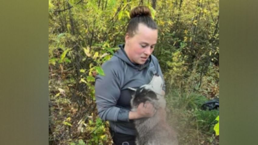 La mujer que mató a un perro que confundió con lobo se justifica: "De todos modos le habría disparado"