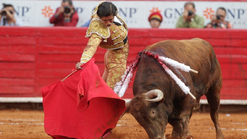 "Normaliza la violencia": fuerte respuesta de activistas a los promotores de las corridas de toros