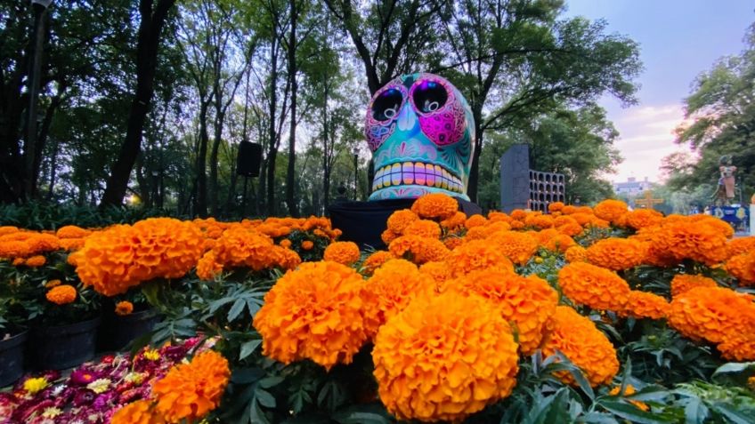 Bosque de Chapultepec rinde homenaje a panteones con “Iluminando Almas”