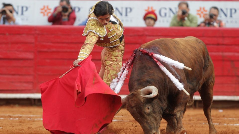 'No es una causa fanática, no es una causa animalista; es una lucha por la justicia y por el respeto a la vida y al bienestar de todos', dijo la doctora Beatriz Vanda Cantón al defender su lucha en contra de esta y otras prácticas en las que se usa la vida de los animales como un espectáculo. 