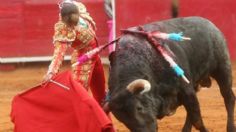 Los antitaurinos no conocen la fiesta de los toros y ni les interesa conocerla: Hilda Tenorio