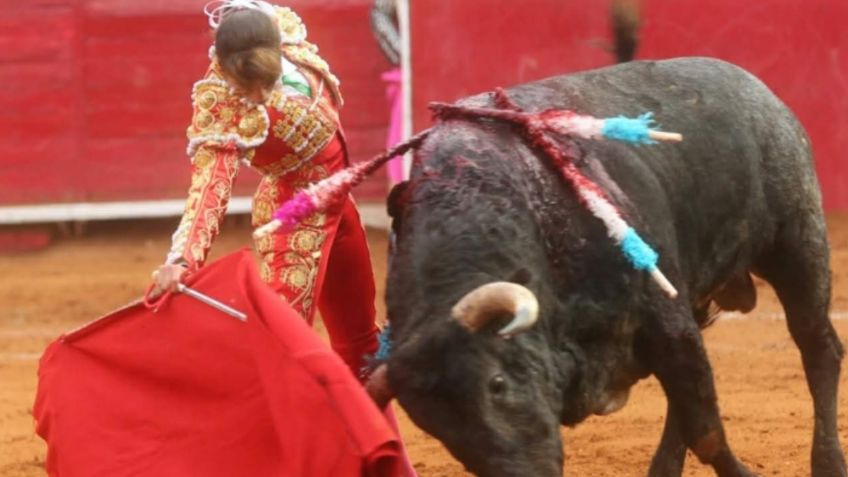 Los antitaurinos no conocen la fiesta de los toros y ni les interesa conocerla: Hilda Tenorio