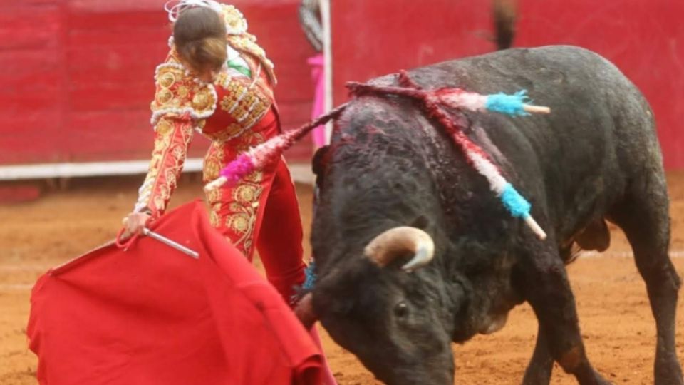 'Yo no me he ido', declaró Hilda Tenorio al asegurar que regresará en marzo próximo a las corridas.