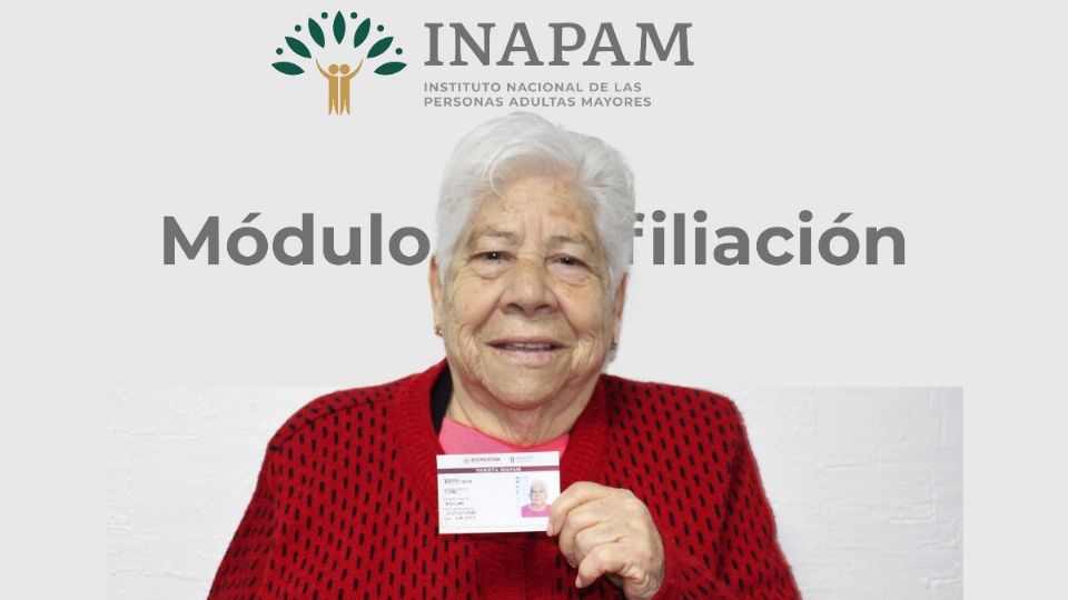 La misión del INAPAM es contribuir con el bienestar de los adultos mayores desde distintos campos.