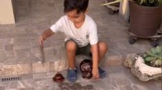 VIDEO | Captan a niño jugando con las cenizas de su abuelita tras sacarlas de la urna