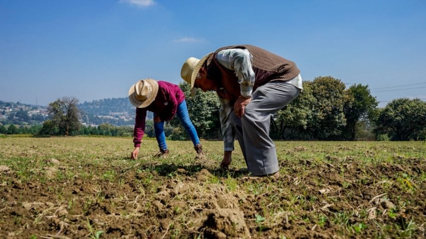 CDMX aplica técnicas alternas para erradicar uso de agroquímicos en Topilejo