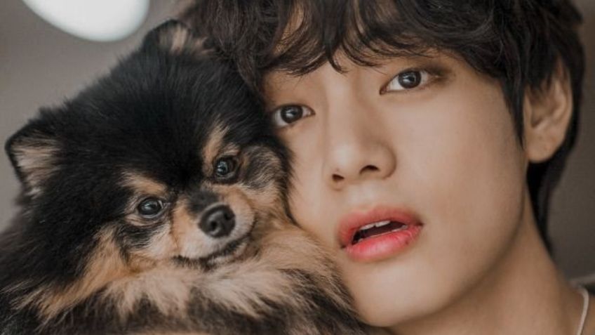 BTS: conoce a Yeontan, el perrito de Taehyung que enloquece al ARMY