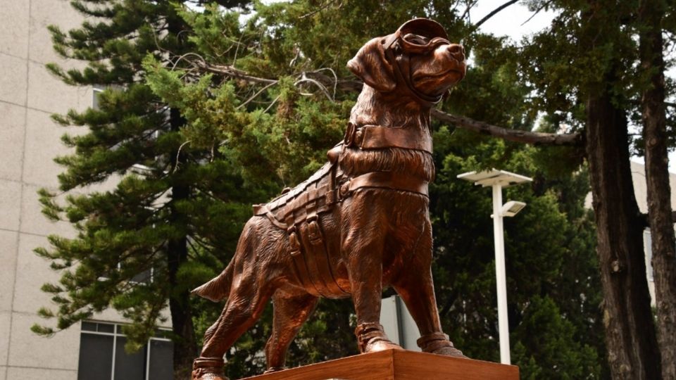 El almirante Rafael Ojeda Durán develó la escultura de Frida