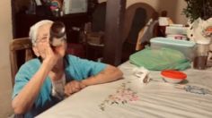 VIDEO | Abuelita de 84 años se gasta todo el dinero en cervezas y se vuelve viral