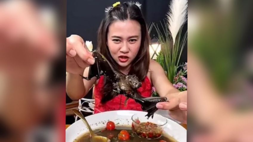 VIDEO | Youtuber es detenida por comerse un murciélago en sopa: "Mastiqué sus dientitos"