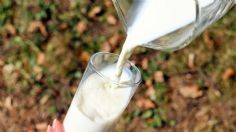 Leche que sólo es agua: 3 marcas que son caras y mienten, alerta Profeco