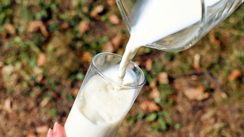 Leche que sólo es agua: 3 marcas que son caras y mienten, alerta Profeco