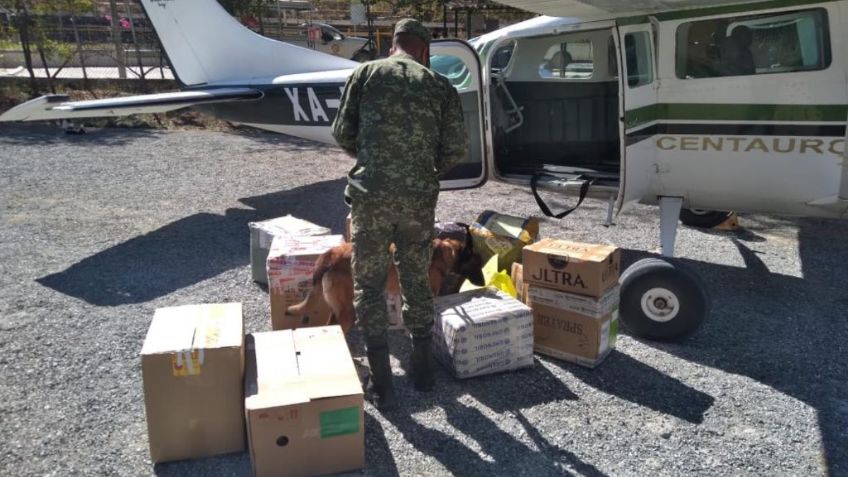 Ejército asegura aeronave con más de 300 kilogramos de posible cocaína en Durango