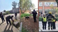 ¿Qué pasó en la FES Cuautitlán? Esta fue la razón por la que desalojaron el campus