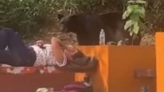 VIDEOS | Cara a cara: un enorme oso sorprendió a alumna de la UANL