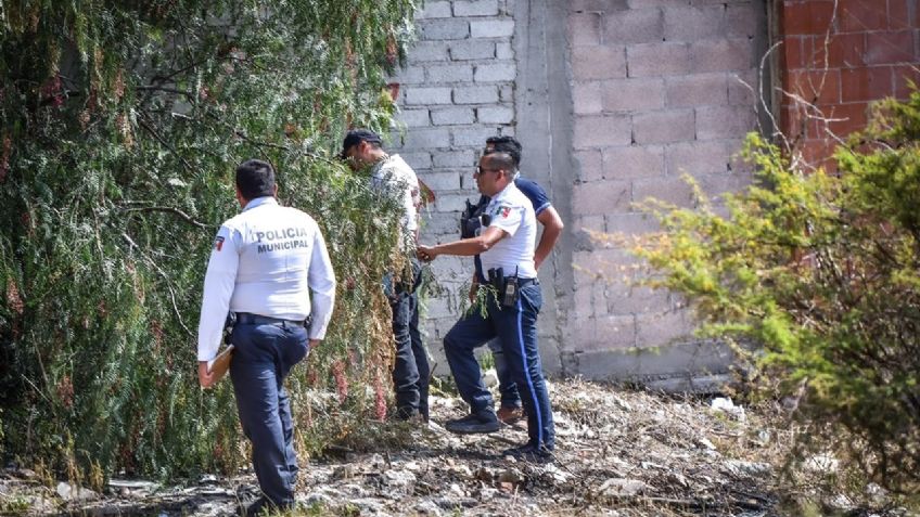 Hombre desconocido se ahorca en la rama de un árbol