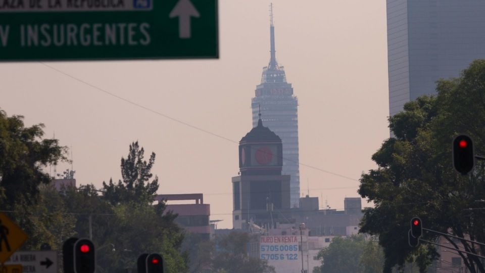 La presencia de contaminantes no ha disminuído pese a las medidas tomadas.