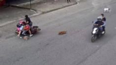 Un motociclista cae con dos mujeres y una niña al atropellar a un perrito y en venganza le da una brutal patada