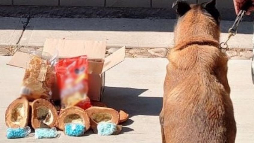 Culiacán: Guardia Nacional intercepta pan dulce relleno con más de 2 mil pastillas de fentanilo