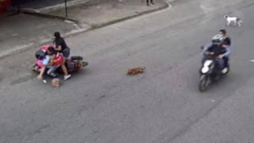 Un motociclista cae con dos mujeres y una niña al atropellar a un perrito y en venganza le da una brutal patada