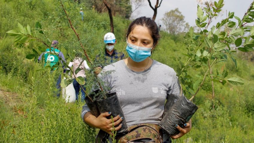 CDMX celebra que ha plantado 34 millones de árboles en los últimos 4 años