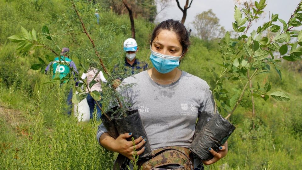 La Sedema celebró que siguen aumentando la plantación de flora en la CDMX