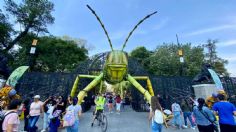 Chapultepec es galardonado con un premio por “INSECTA. Festival del Bosque”