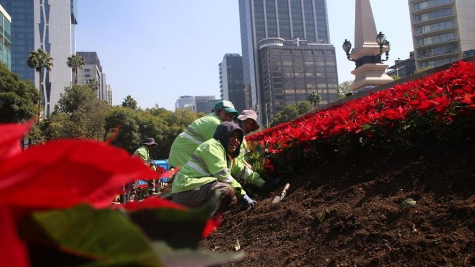 La capital se teñirá de rojo durante las fechas decembrinas