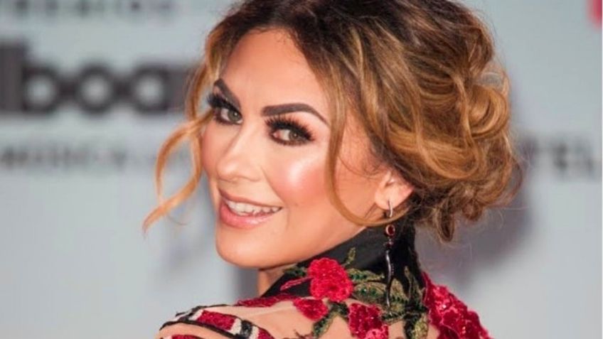 Aracely Arámbula, más bella que nunca, en atrevida pose y vestido abierto