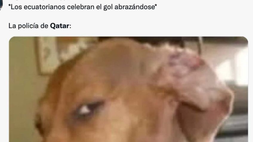 Qatar vs Ecuador: los memes no faltaron en el primer partido del Mundial