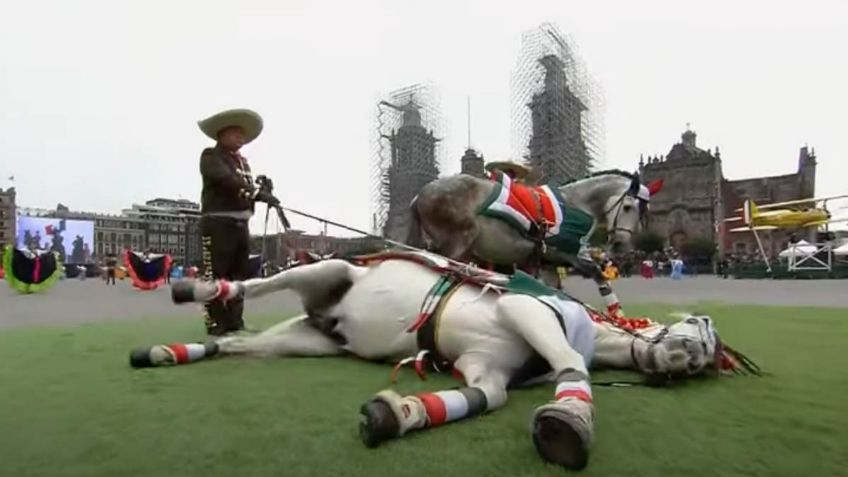 VIDEO | Caballo se hace el muerto y acapara las miradas en el Desfile de la Revolución Mexicana