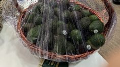 Histórico: México envía el primer cargamento de aguacate a Qatar en pleno Mundial