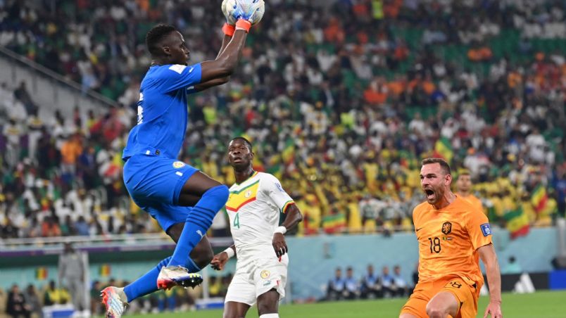 Países Bajos vs Senegal, EN VIVO.