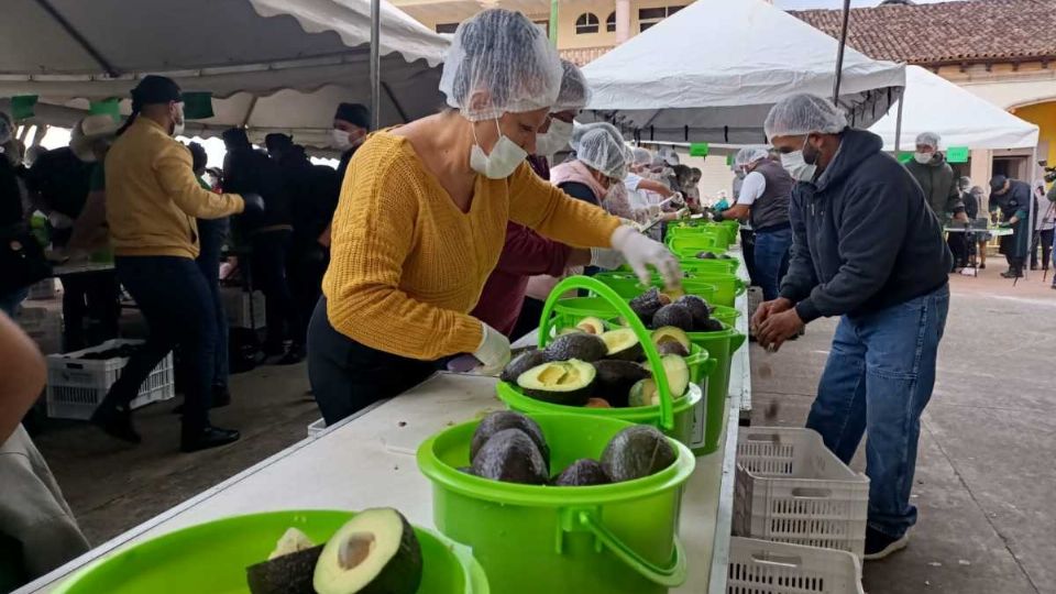 Esta zona es reconocida por ser la sexta con más producción de este alimento