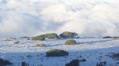 VIDEOS: así se vivió la primera nevada de la temporada en Nuevo León