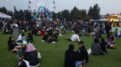 ¿Comezón? Asistentes del Corona Capital alertan brote de piojos durante el festival