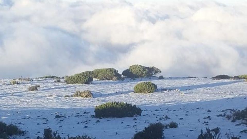 La nieve cubrió el municipio de Galeana.