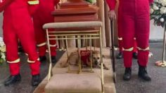 ¡Leal hasta la muerte! Perrito no se despega del ataúd de su dueño durante todo el funeral