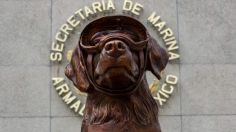 Las emotivas imágenes de la última despedida a Frida, la perrita rescatista: "Hasta la próxima misión"