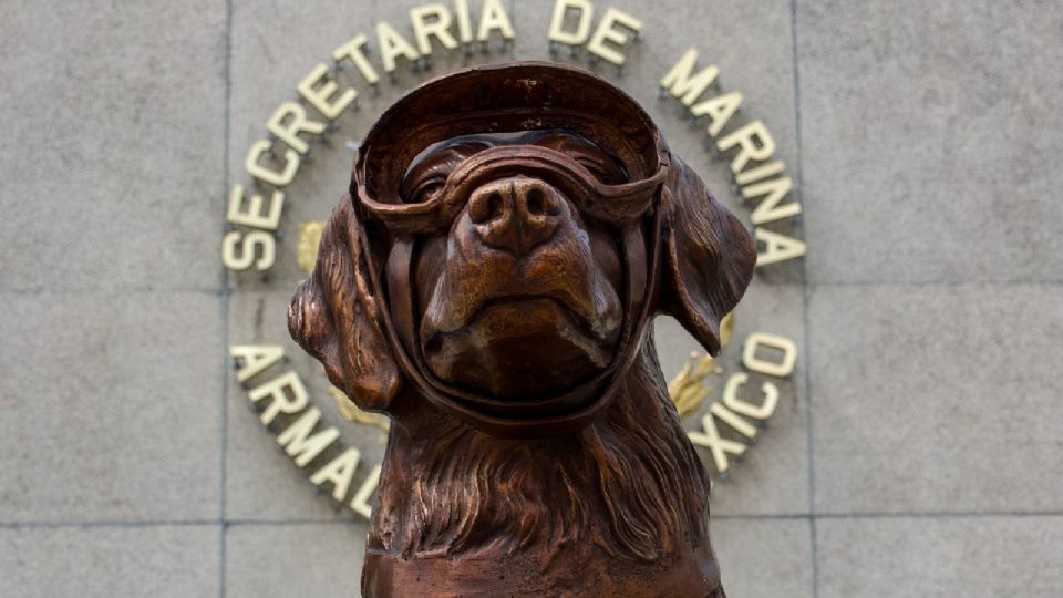 Con flores recibieron las cenizas de la perrita Frida.