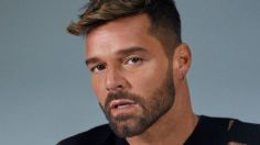 Ricky Martin habría aceptado que su sobrino estuvo con él, revela abogado